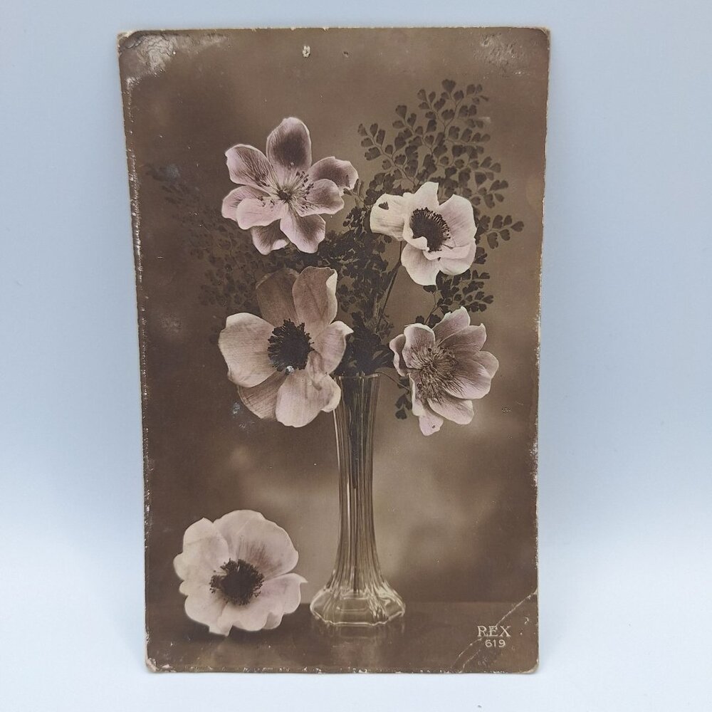 Antique REX 619 Floral Postcard Sepia Botanical Art Belgium Postmark Brown‎ Aged